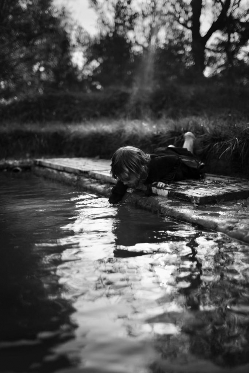 El más hermoso álbum familiar El más hermoso álbum familiar