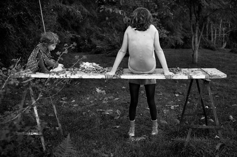 El más hermoso álbum familiar El más hermoso álbum familiar