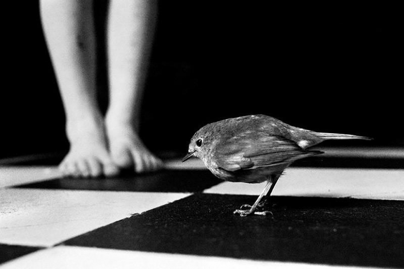 El más hermoso álbum familiar El más hermoso álbum familiar