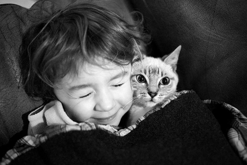 El más hermoso álbum familiar El más hermoso álbum familiar