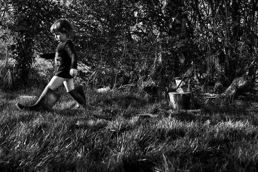 El más hermoso álbum familiar El más hermoso álbum familiar