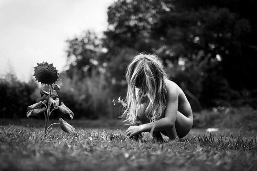 El más hermoso álbum familiar El más hermoso álbum familiar