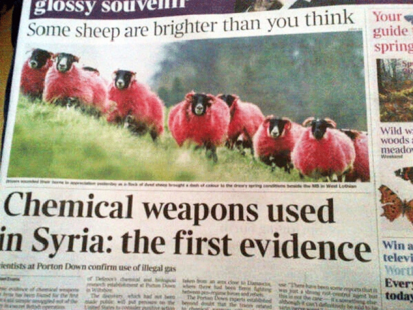 El más ridículo de los fracasos en la historia de la newsletter