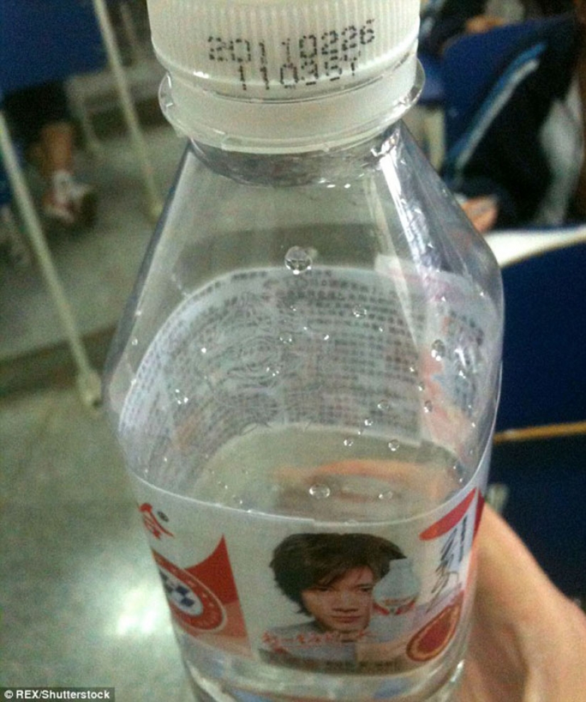 El profesor, por supuesto, la bardana: una guía moderna para Cunas El profesor, por supuesto, la bardana: una guía moderna para Cunas