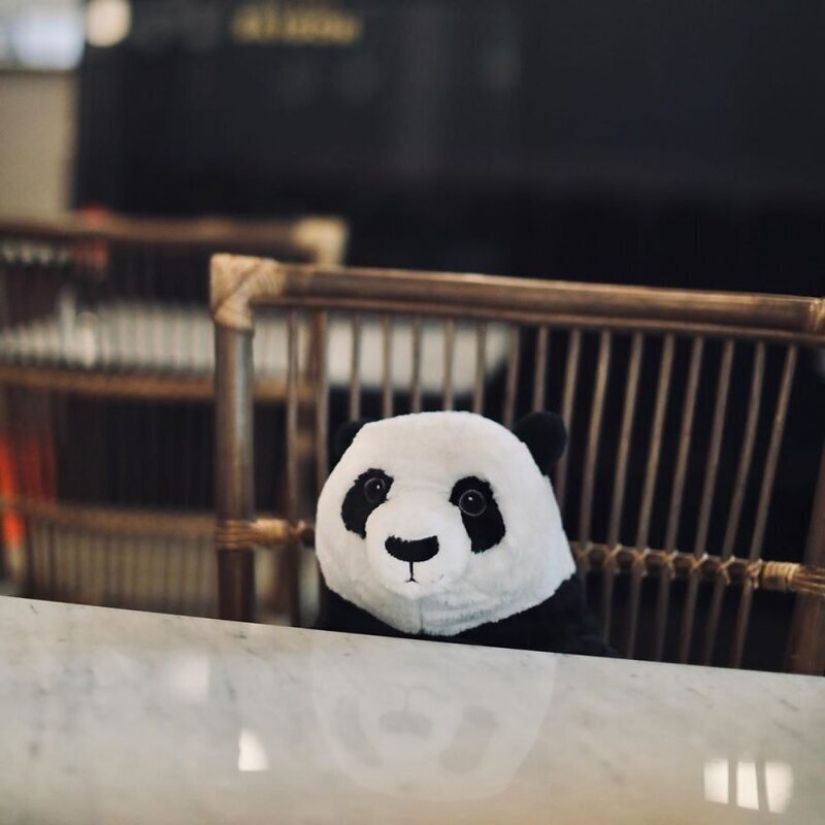 El restaurante Bangkok pandas ayudar a las personas a mantener una distancia El restaurante Bangkok pandas ayudar a las personas a mantener una distancia