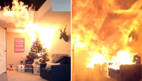 Elochka, Gori! New year's beauty can transform a room into a pile of ashes 23 seconds Elochka, Gori! New year's beauty can transform a room into a pile of ashes 23 seconds