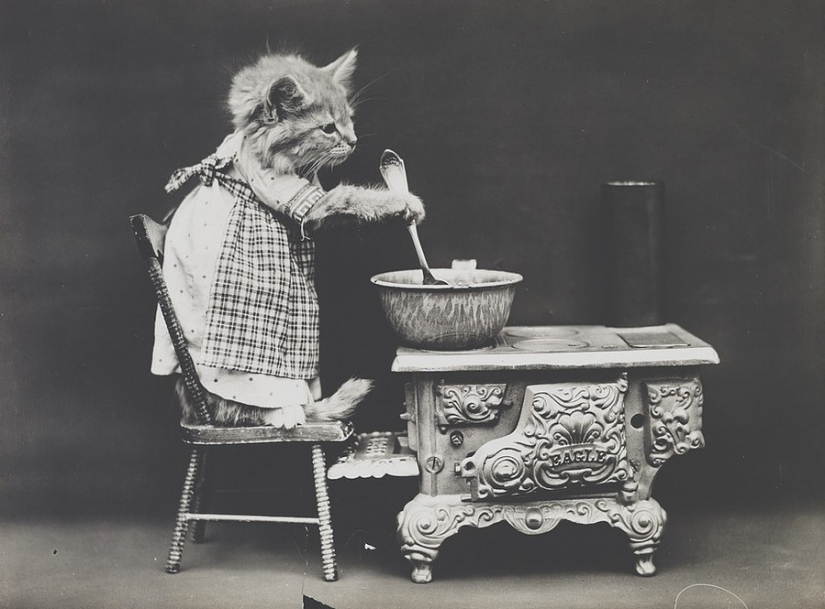 En el comienzo del siglo XX el Internet no estaba allí, pero estaba realmente en el león En el comienzo del siglo XX el Internet no estaba allí, pero estaba realmente en el león