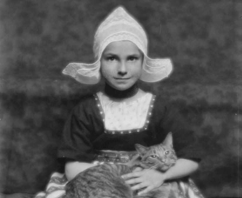 En el comienzo del siglo XX el Internet no estaba allí, pero estaba realmente en el león En el comienzo del siglo XX el Internet no estaba allí, pero estaba realmente en el león