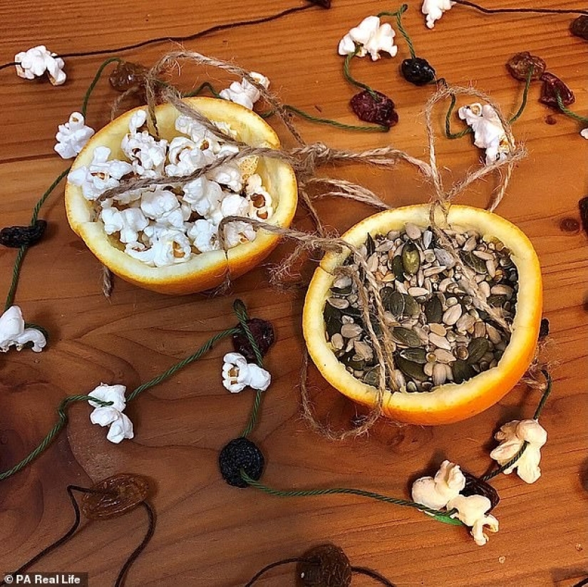 En el nuevo año sin desperdicio: como una madre de gran Bretaña se prepara para las vacaciones en eco-estilo