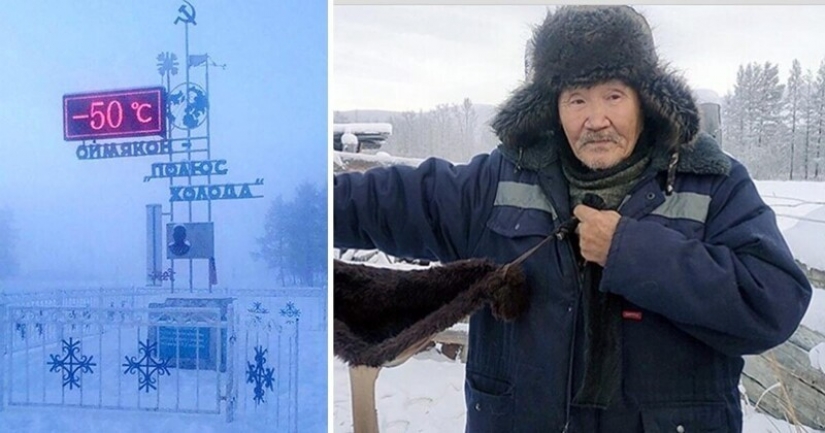 En Yakutia, debido a las heladas severas que coser la piel de los sujetadores para las vacas