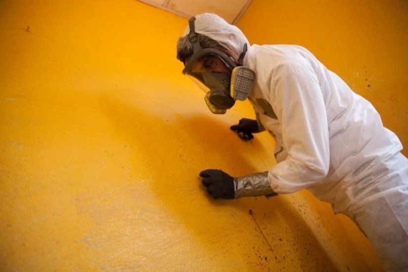 Enterrando la verdad: la primera en México limpiador de escenas de crimen, habló acerca de su trabajo sucio