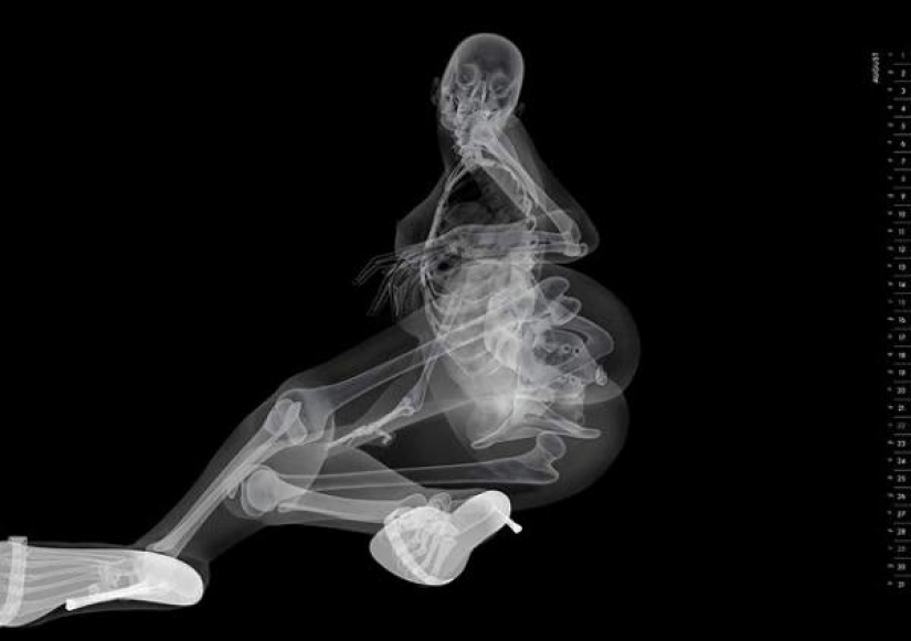 Erotic calendar, which is visible at all Erotic calendar, which is visible at all