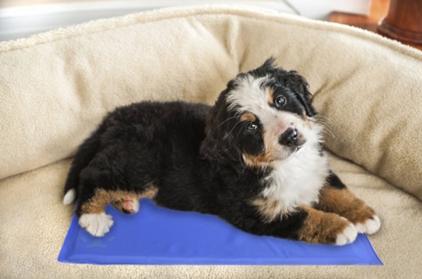 Essential things for those who are all time hot Essential things for those who are all time hot