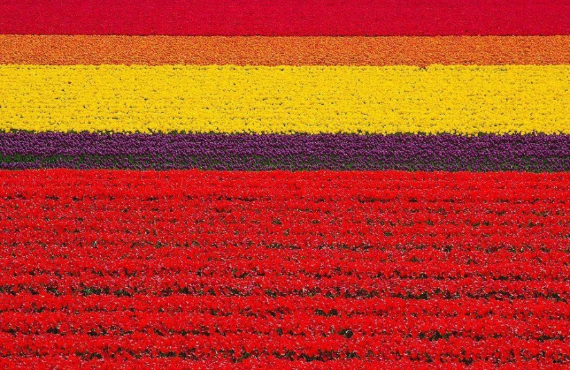 Estamos mirando a ver Estamos mirando a ver