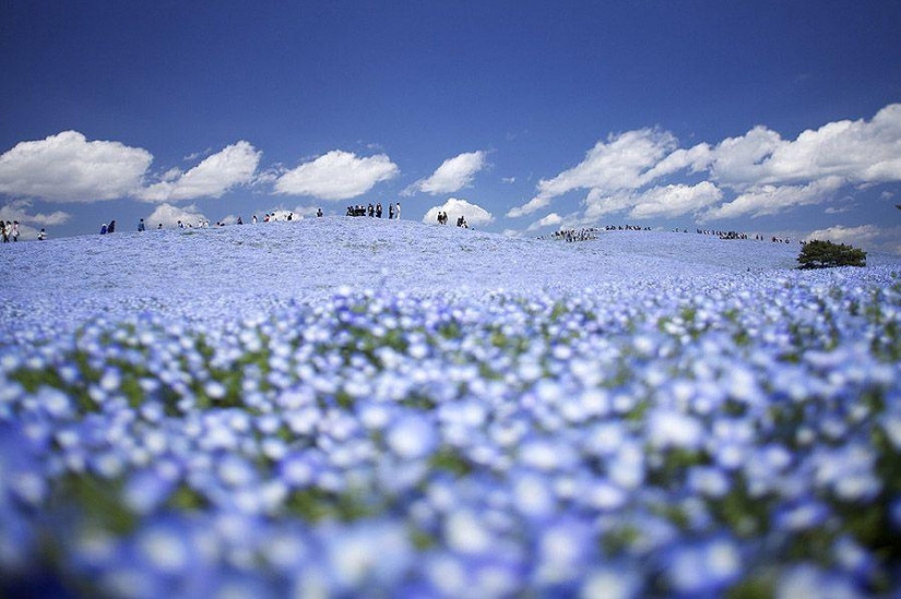 Estamos mirando a ver Estamos mirando a ver