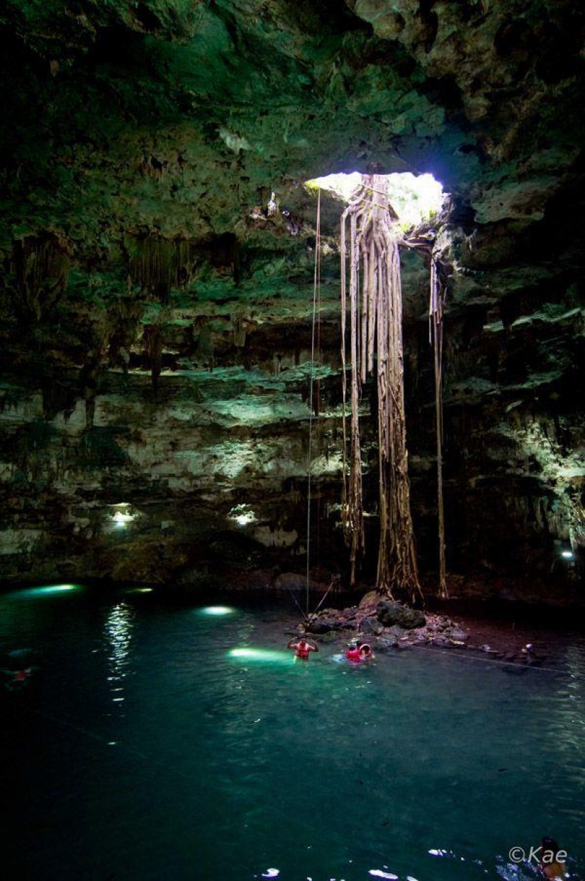 Estamos mirando a ver Estamos mirando a ver