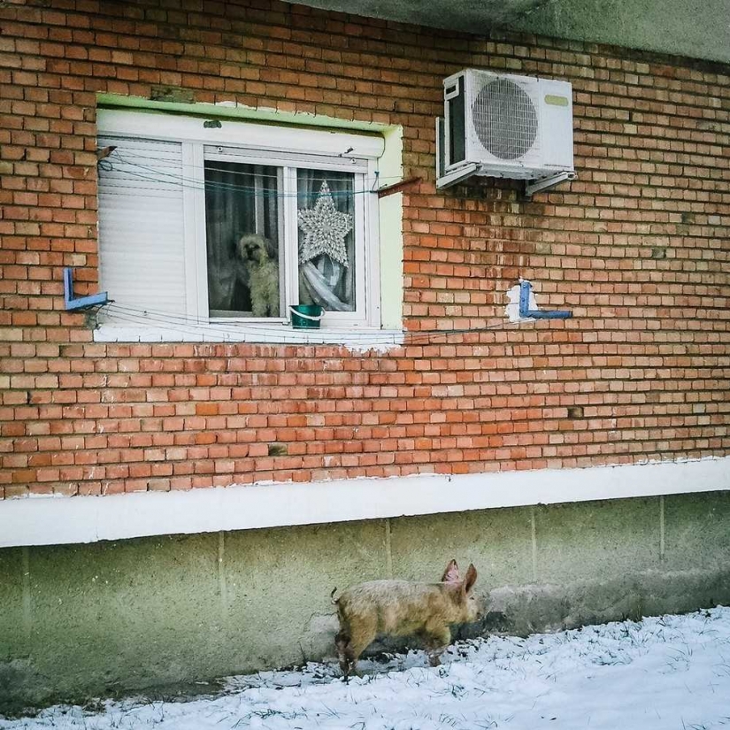 Estas fotografías muestran la belleza y el dolor de Rumania