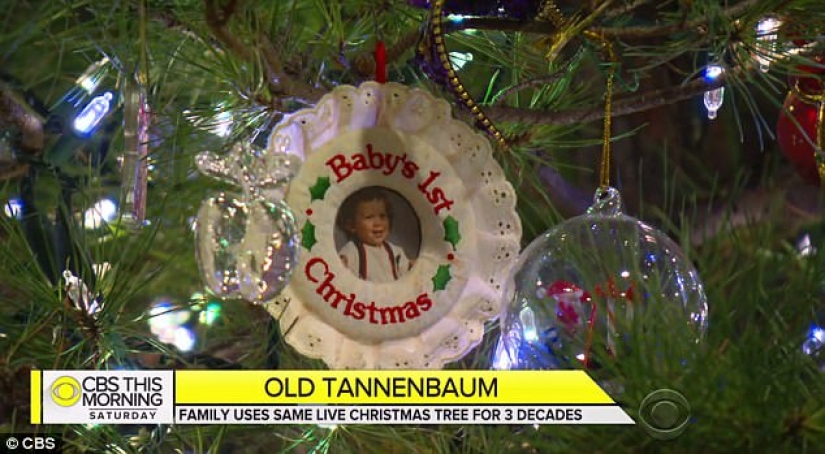 Familia estadounidense de 36 años, vestidos de la misma vida de pino Familia estadounidense de 36 años, vestidos de la misma vida de pino