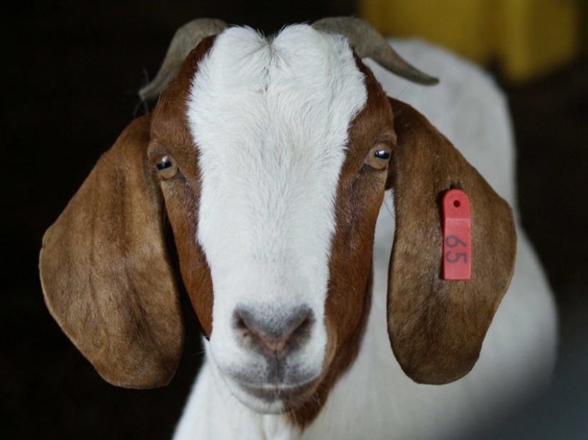 Fasten your seat belts: the most exciting roads in the world Fasten your seat belts: the most exciting roads in the world