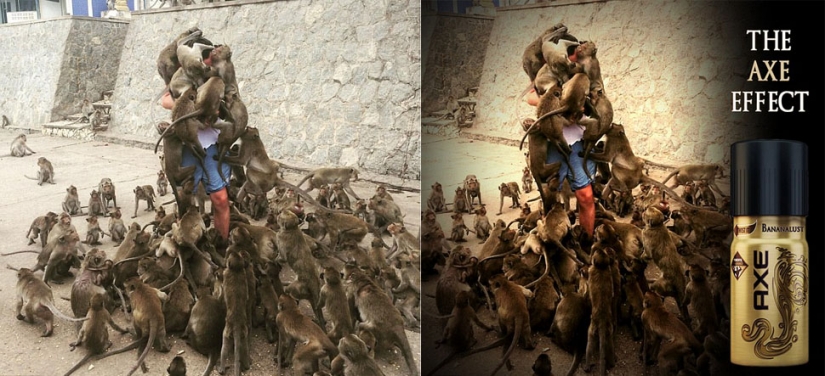 Fatal error: the tourist decided to feed the monkeys and became the hero of the Internet memes