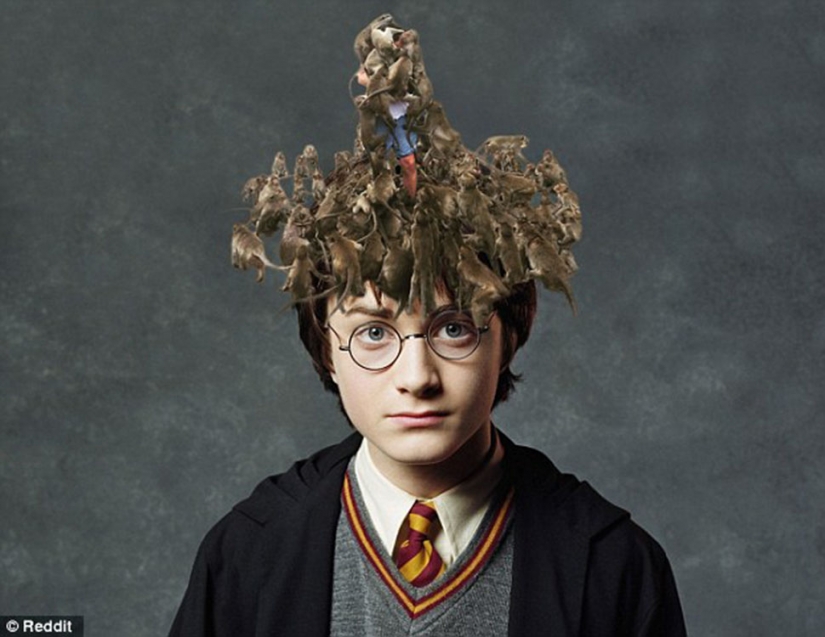 Fatal error: the tourist decided to feed the monkeys and became the hero of the Internet memes