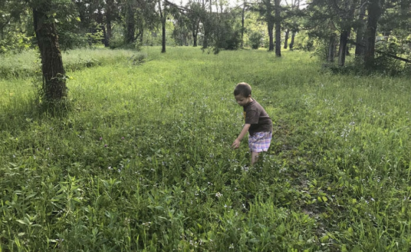 Fotógrafo Amateur vs: como uno y el mismo lugar, es transformado en el trabajo del profesional