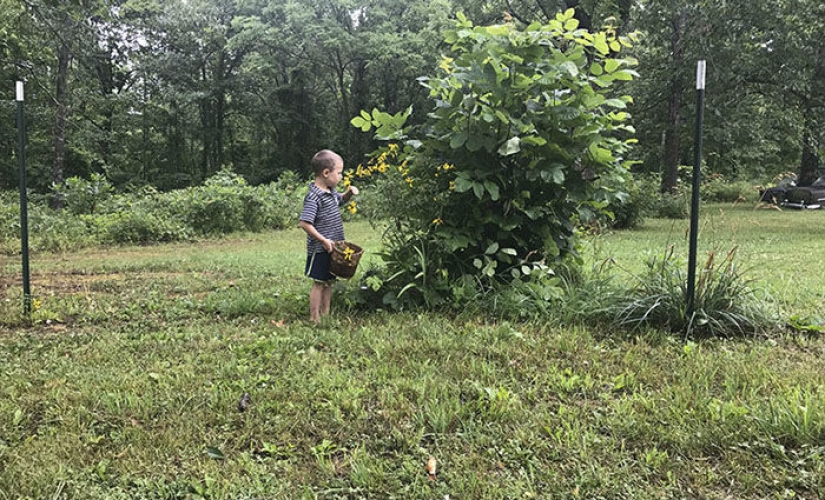 Fotógrafo Amateur vs: como uno y el mismo lugar, es transformado en el trabajo del profesional