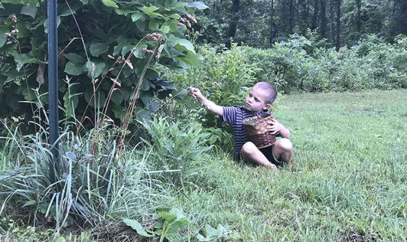 Fotógrafo Amateur vs: como uno y el mismo lugar, es transformado en el trabajo del profesional