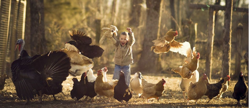 Fotógrafo Amateur vs: como uno y el mismo lugar, es transformado en el trabajo del profesional