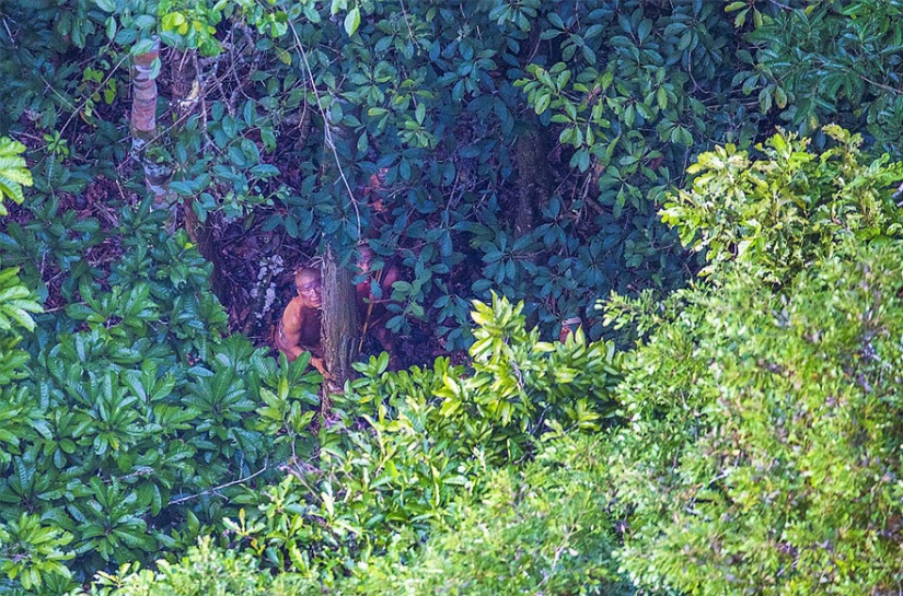 Fotógrafo brasileño logró acercarse más que nunca a totalmente tribu salvaje en los bosques de la Amazonía