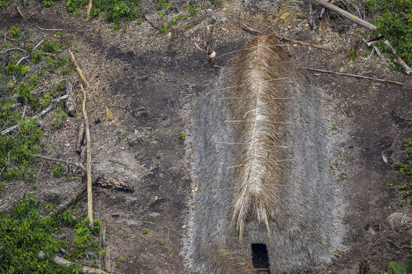 Fotógrafo brasileño logró acercarse más que nunca a totalmente tribu salvaje en los bosques de la Amazonía