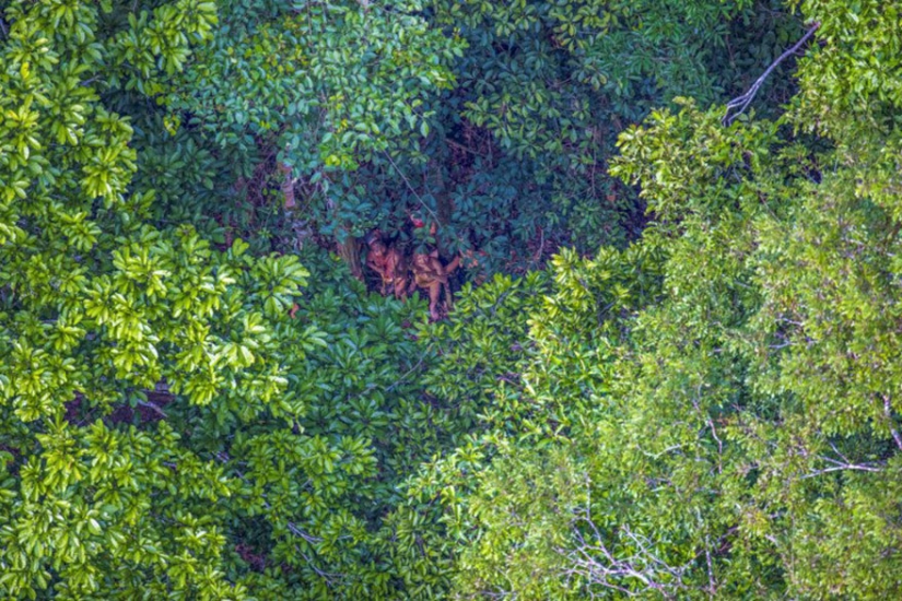 Fotógrafo brasileño logró acercarse más que nunca a totalmente tribu salvaje en los bosques de la Amazonía