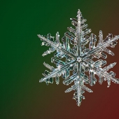 Fotógrafo captura las fotos de copos de nieve de mayor resolución del mundo