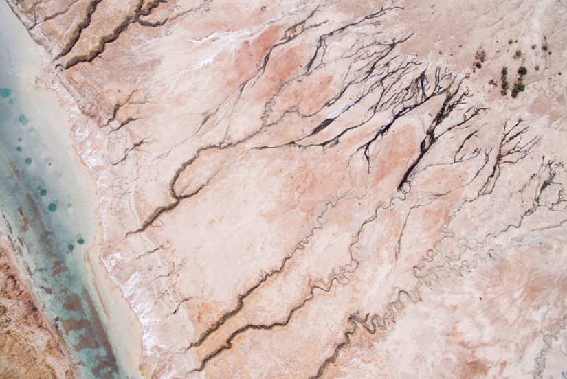 Foto: morir del mar Muerto Foto: morir del mar Muerto