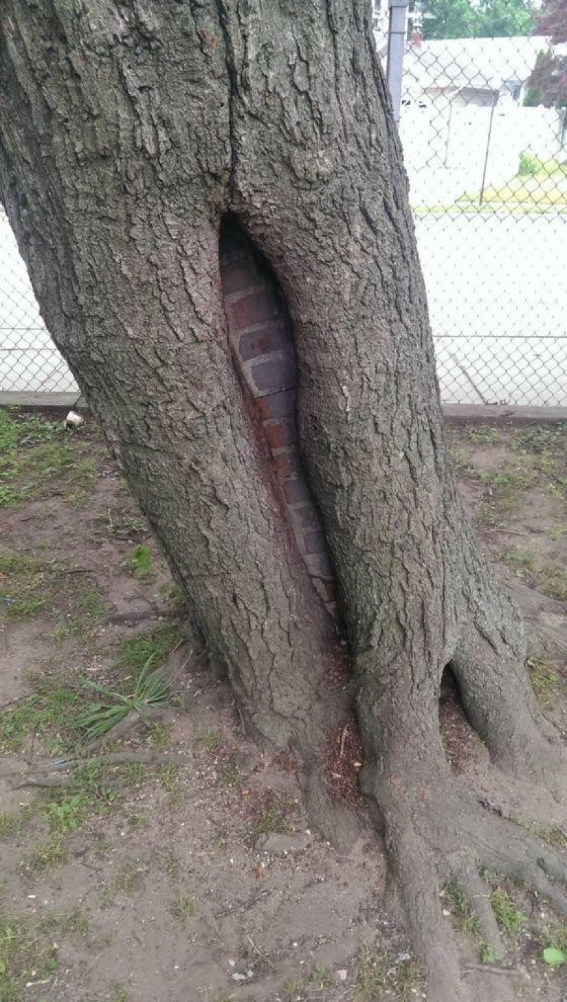 Fotos de cosas increíbles que ver una vez en tu vida