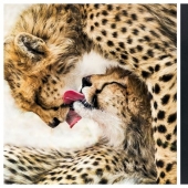 Fotos de la lista de preseleccionados de 2020 concurso Sony World Photography Awards