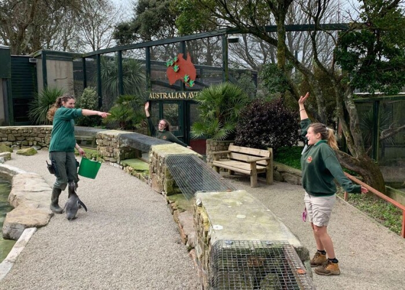 Four employees of a zoo in UK to wait out the quarantine of animals