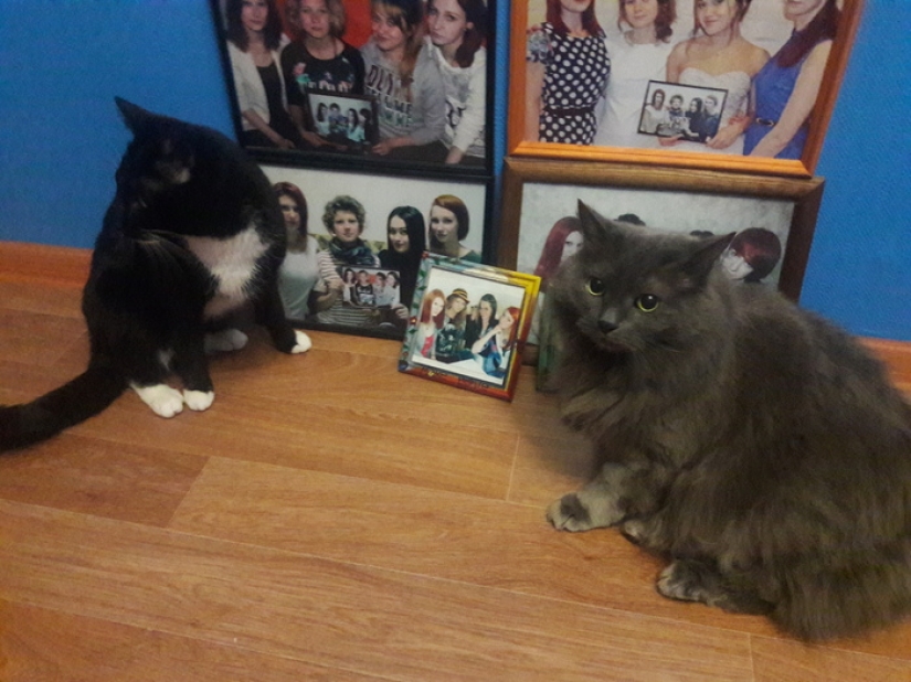 Four girlfriends from Russia 7 years did a joint photo, and this is what came of it