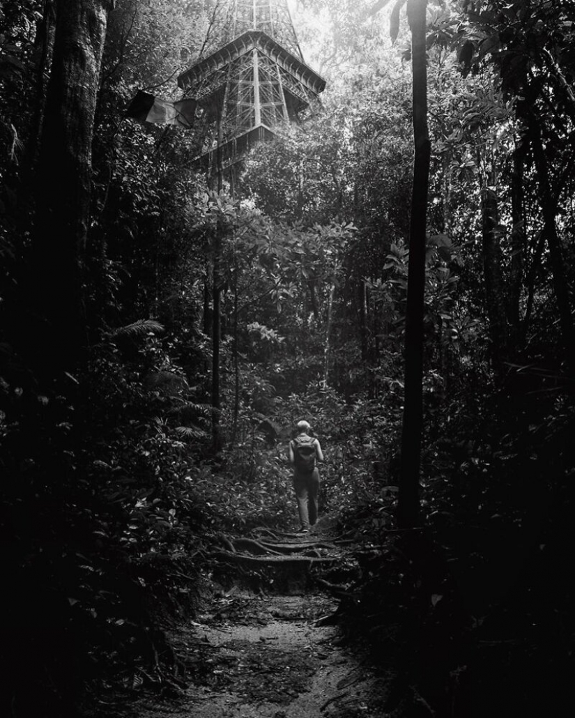 Fringe: ¿cómo será el mundo si a la cuarentena no es más