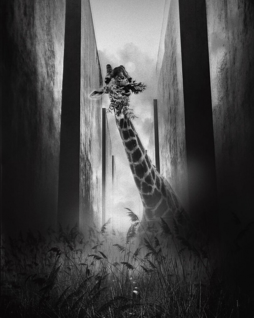 Fringe: how will the world be if the quarantine is not over