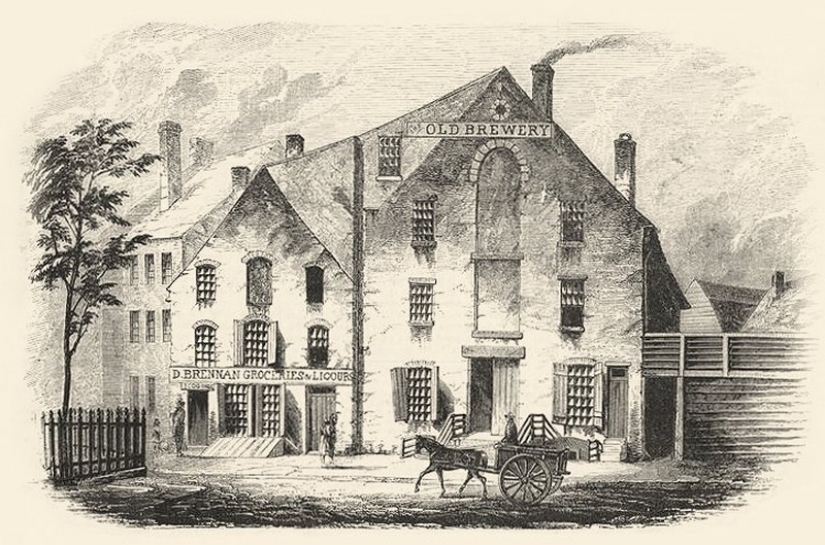 Gangs of new York: how it was