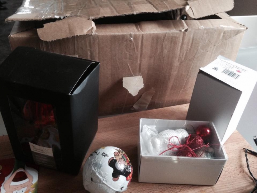 Gatos Ninja que han dominado el arte marcial antiguo de ninjutsu