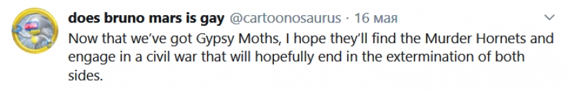 Giant Gypsy moths in the United States — a new attack difficult 2020