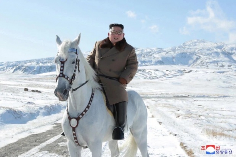 Golden idol: the luxurious life of Kim Jong-UN