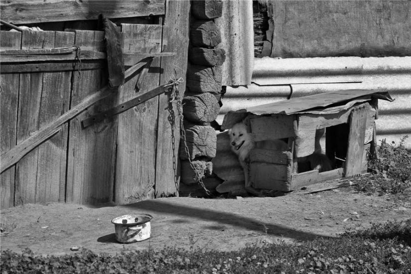 "Goodbye, forgotten Russia!": why photographer from Bryansk relieves the vanishing village