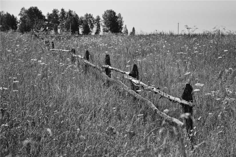 "Goodbye, forgotten Russia!": why photographer from Bryansk relieves the vanishing village