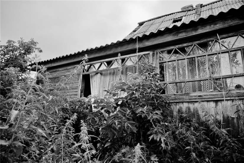 "Goodbye, forgotten Russia!": why photographer from Bryansk relieves the vanishing village