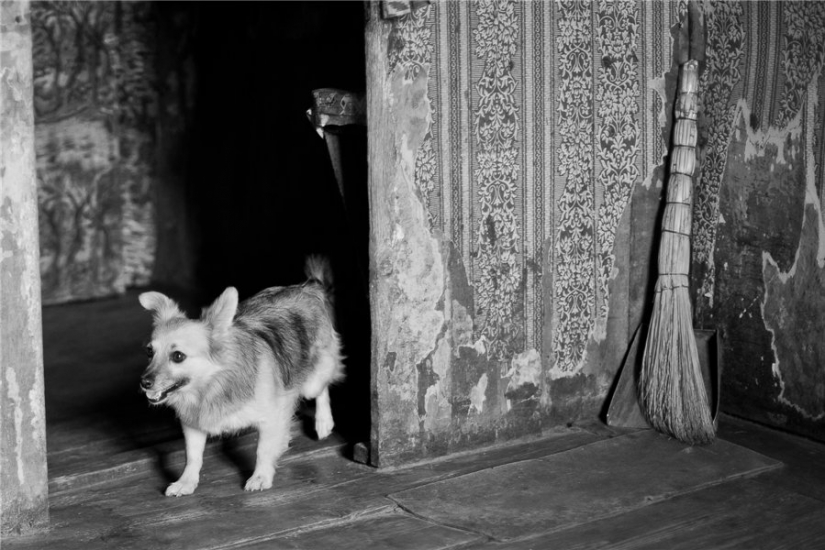 "Goodbye, forgotten Russia!": why photographer from Bryansk relieves the vanishing village