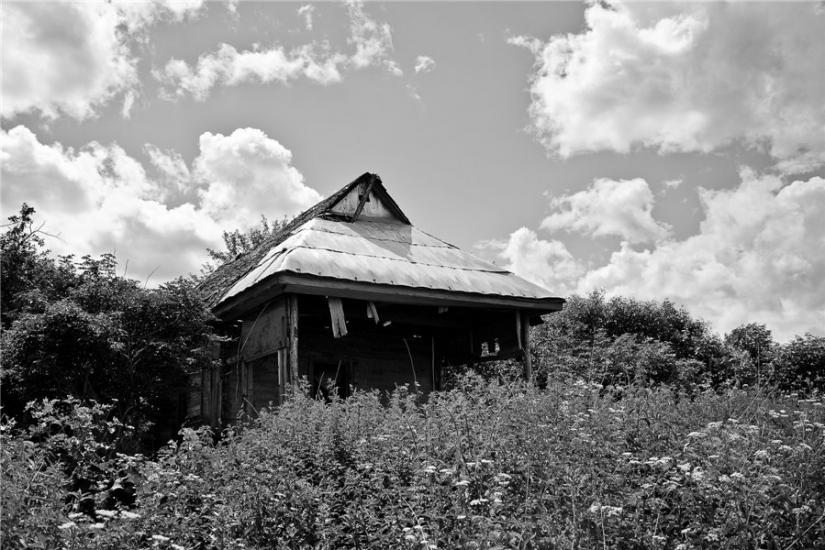 "Goodbye, forgotten Russia!": why photographer from Bryansk relieves the vanishing village