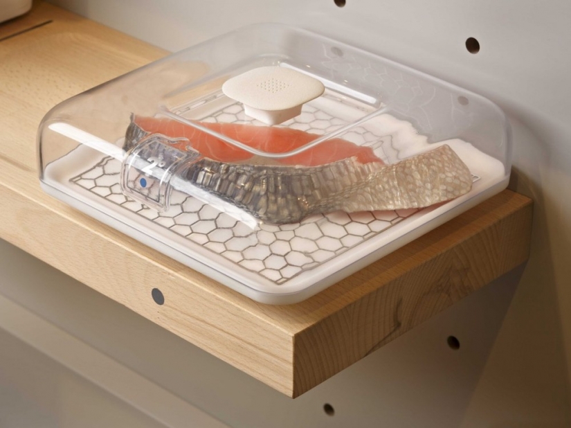 Here in 2025 will look like your kitchen